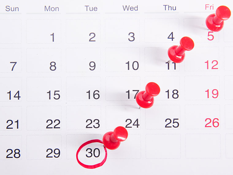 Pins in calendar dates